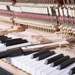 122-detail-25-3-keys-felts-8-web_2_orig